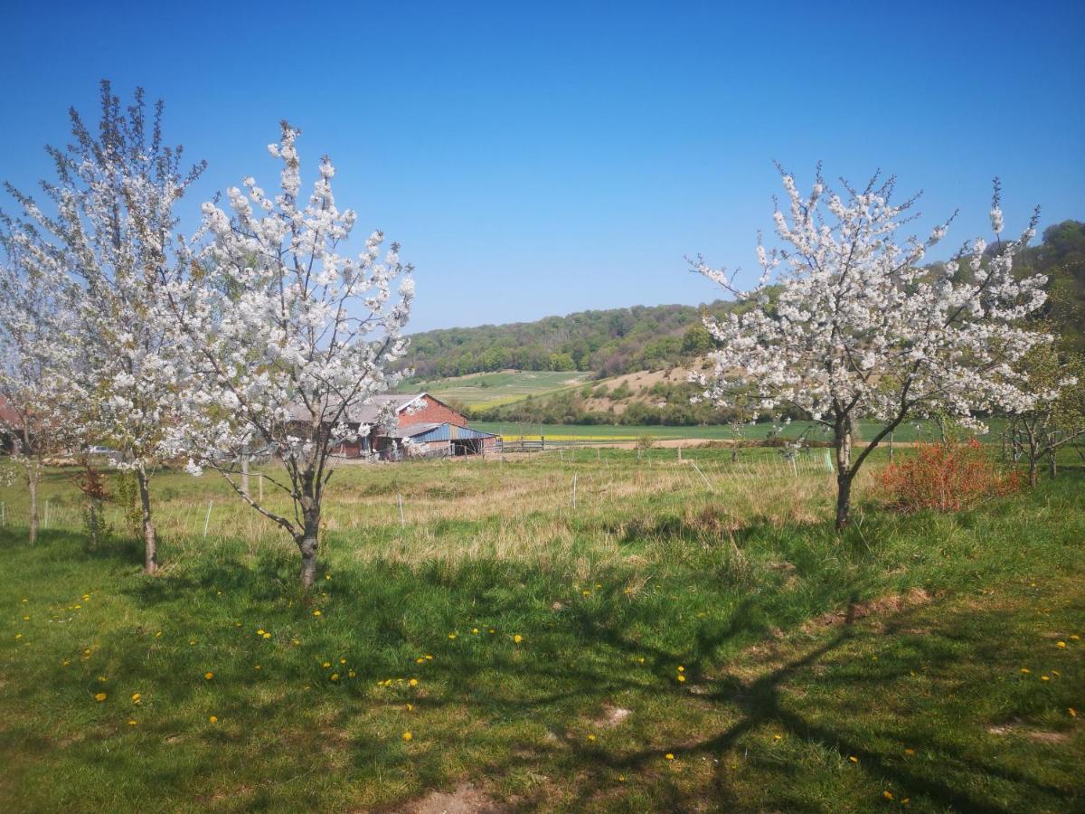 Nature Monchy Campneuseville Экстерьер фото